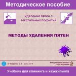 Методы удаления пятен с текстильных покрытий